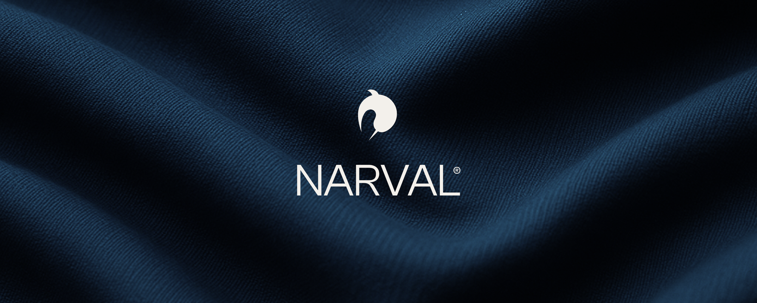 Read more about the article NARVAL